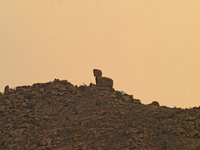 Hammerstein [ 32 images ]